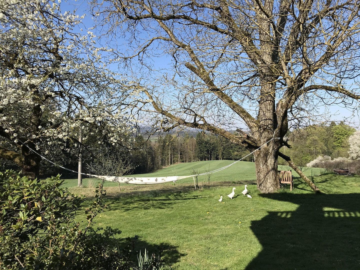 Predaj domu 189 m², pozemek 2.000 m², Fürstenstein, Bavorsko Predaj domu 189 m², pozemek 2.000 m², Fürstenstein, Bavorsko