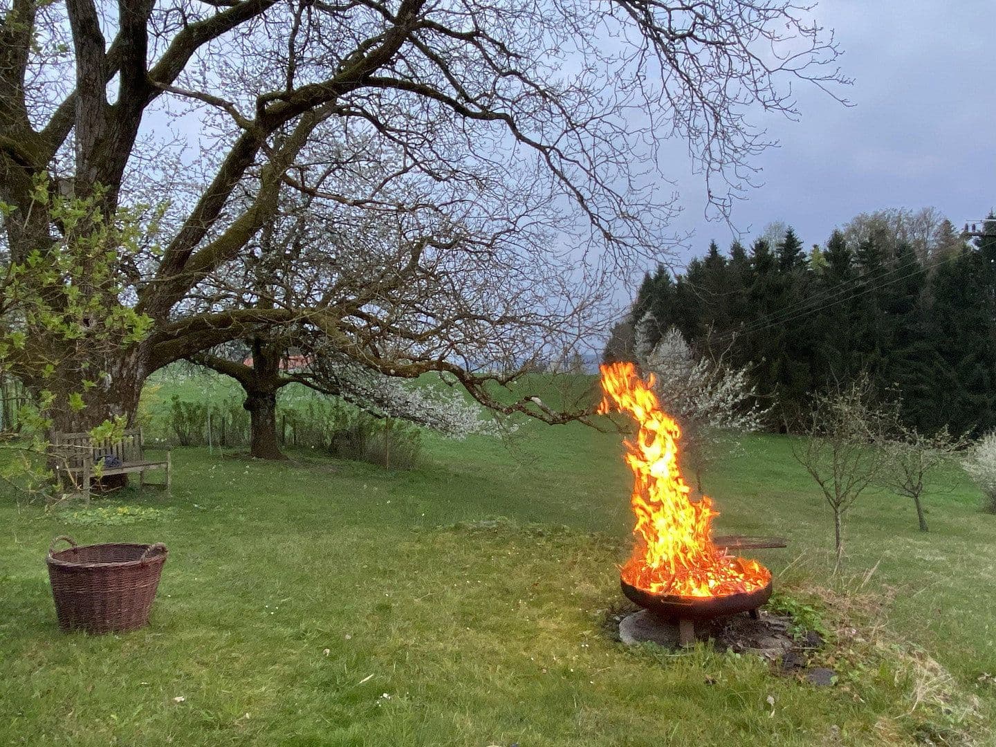Predaj domu 189 m², pozemek 2.000 m², Fürstenstein, Bavorsko Predaj domu 189 m², pozemek 2.000 m², Fürstenstein, Bavorsko
