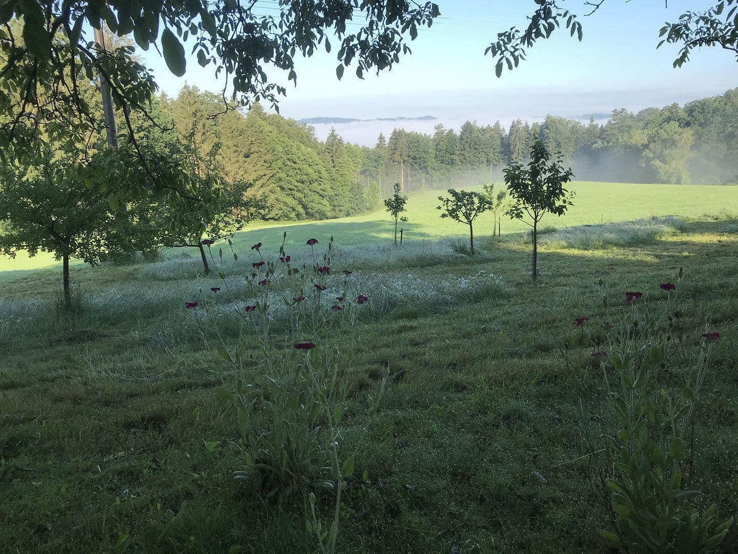 Predaj domu 189 m², pozemek 2.000 m², Fürstenstein, Bavorsko Predaj domu 189 m², pozemek 2.000 m², Fürstenstein, Bavorsko