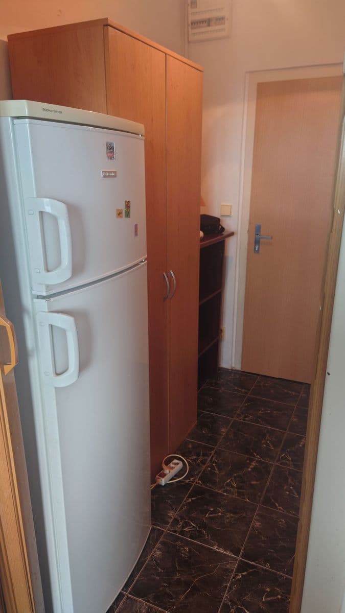 Prenájom bytu 1-izbový 20 m², Štúrova, Praha, Praha Prenájom bytu 1-izbový 20 m², Štúrova, Praha, Praha