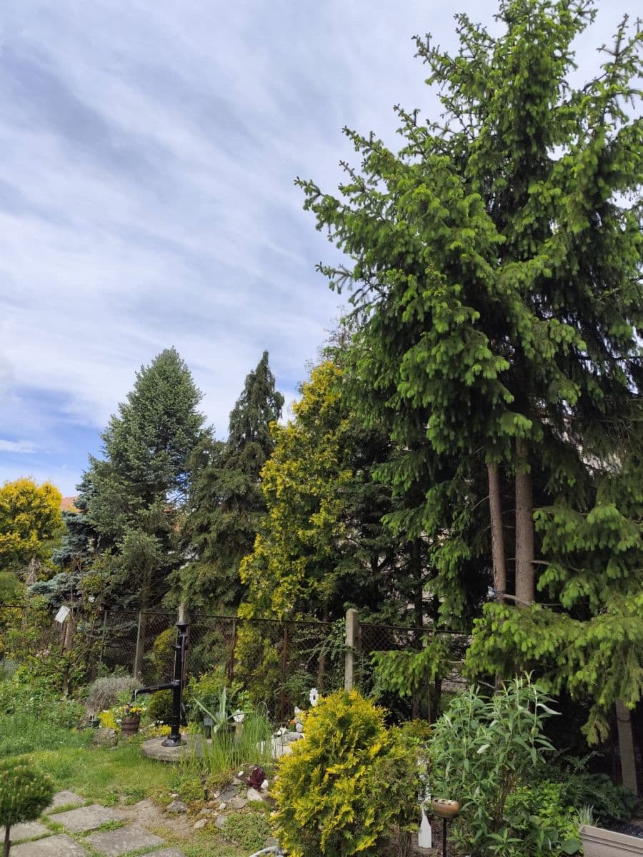Predaj domu 78 m², pozemek 650 m², Eliášova, Loučeň, Středočeský kraj Predaj domu 78 m², pozemek 650 m², Eliášova, Loučeň, Středočeský kraj