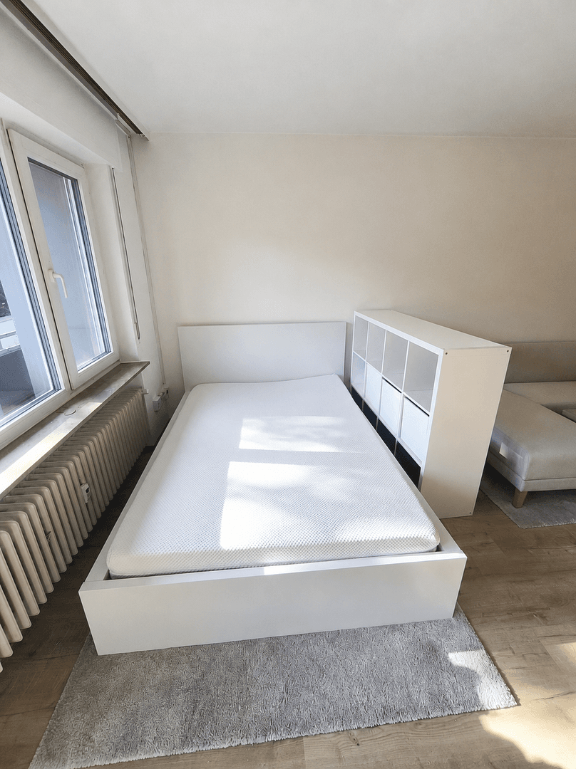 Prenájom bytu 1-izbový 34 m², Hanau, Hesensko Prenájom bytu 1-izbový 34 m², Hanau, Hesensko