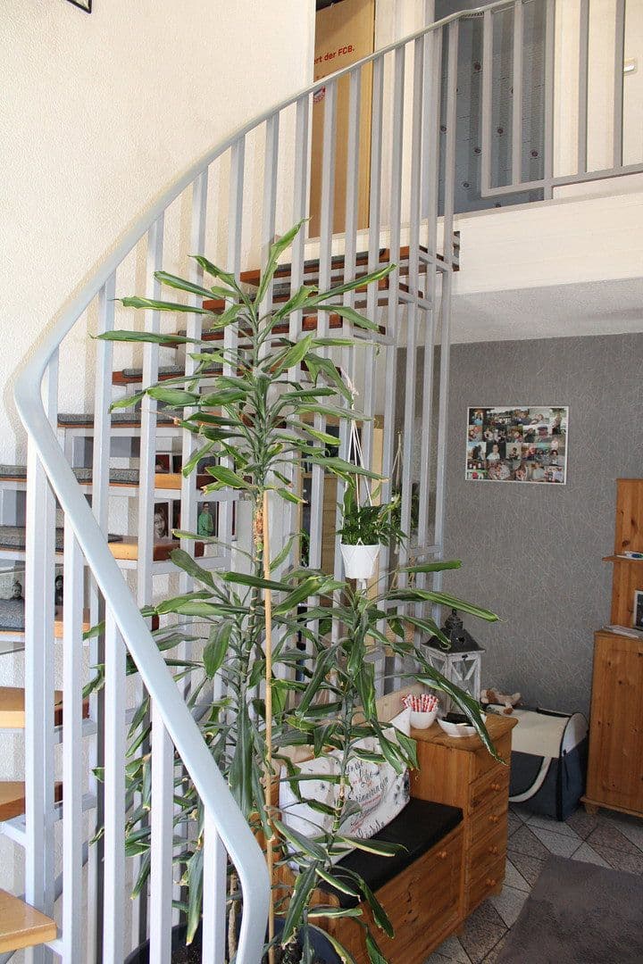 Predaj domu 163 m², pozemek 878 m², Allendorf (Eder), Hesensko Predaj domu 163 m², pozemek 878 m², Allendorf (Eder), Hesensko
