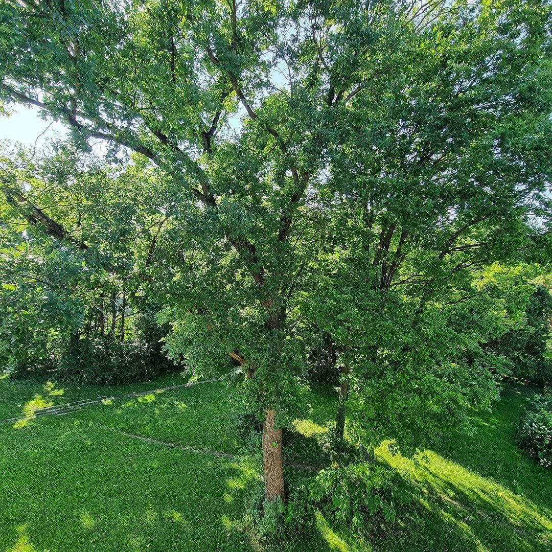 Prenájom bytu 2-izbový 43 m², Linkstraße 9, München, Bavorsko Prenájom bytu 2-izbový 43 m², Linkstraße 9, München, Bavorsko