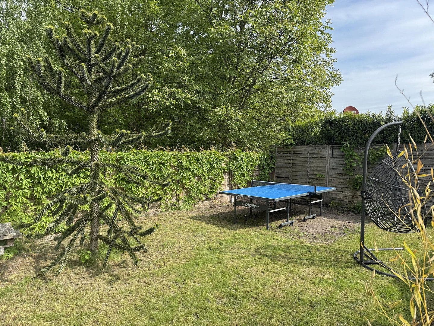 Prenájom bytu 1-izbový 12 m², Berlin - Reinickendorf, Berlín Prenájom bytu 1-izbový 12 m², Berlin - Reinickendorf, Berlín
