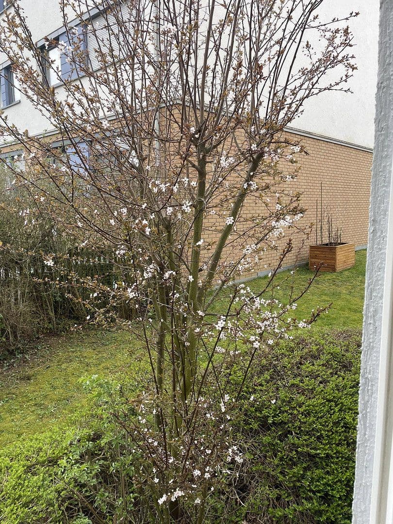 Predaj bytu 2-izbový 65 m², Bad Homburg vor der Höhe, Hesensko Predaj bytu 2-izbový 65 m², Bad Homburg vor der Höhe, Hesensko