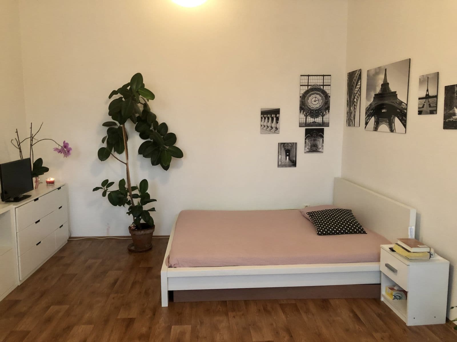 Prenájom bytu 1-izbový 50 m², Na hrázi, Olomouc, Olomoucký kraj Prenájom bytu 1-izbový 50 m², Na hrázi, Olomouc, Olomoucký kraj