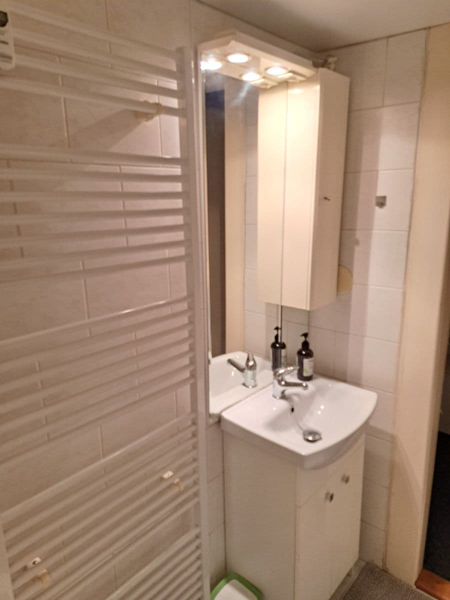 Prenájom bytu 1-izbový 32 m², Vinohradská, Praha, Praha Prenájom bytu 1-izbový 32 m², Vinohradská, Praha, Praha