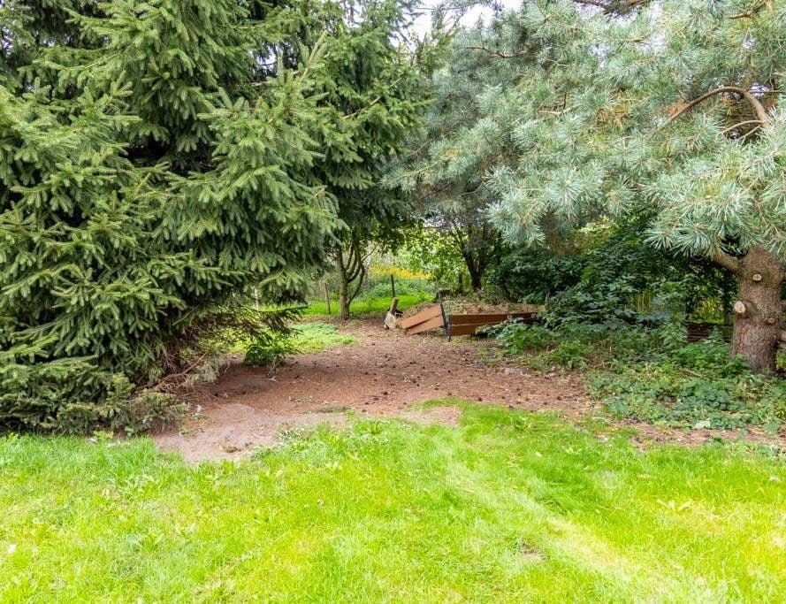 Predaj domu 184 m², pozemek 4.456 m², Wingst, Dolné Sasko Predaj domu 184 m², pozemek 4.456 m², Wingst, Dolné Sasko