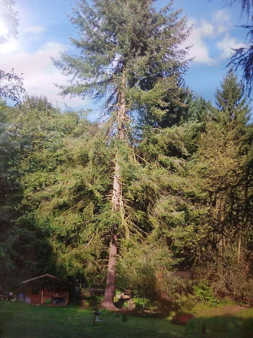 Predaj domu 153 m², pozemek 4.000 m², Ramsen, Porýnie-Falcko Predaj domu 153 m², pozemek 4.000 m², Ramsen, Porýnie-Falcko