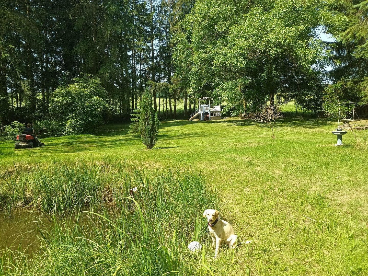Predaj domu 153 m², pozemek 4.000 m², Ramsen, Porýnie-Falcko Predaj domu 153 m², pozemek 4.000 m², Ramsen, Porýnie-Falcko