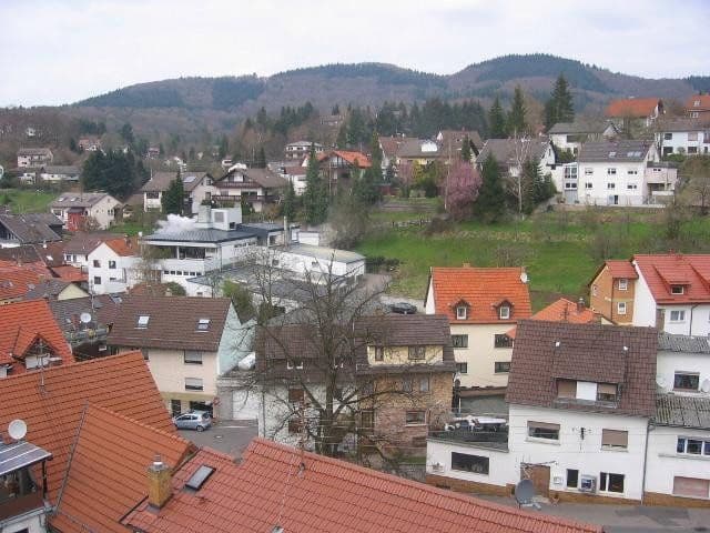 Prenájom bytu 3-izbový 80 m², Schriesheim, Bádensko-Wurttembersko Prenájom bytu 3-izbový 80 m², Schriesheim, Bádensko-Wurttembersko