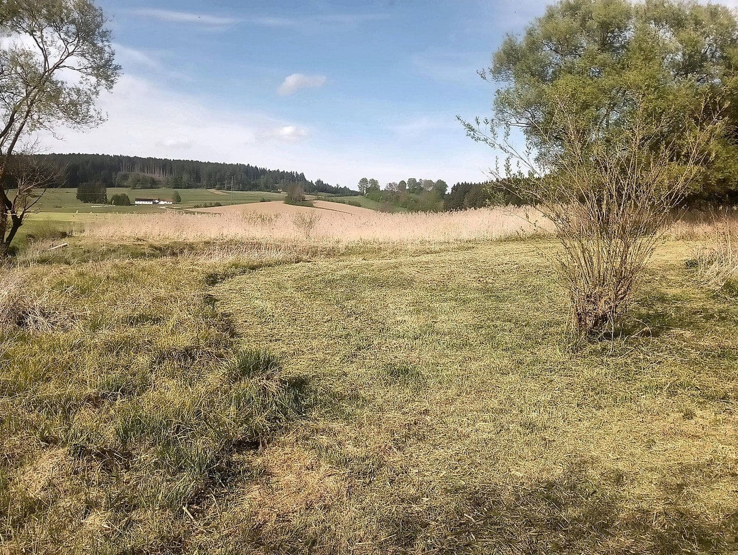 Predaj domu 144 m², pozemek 8.028 m², Regen, Bavorsko Predaj domu 144 m², pozemek 8.028 m², Regen, Bavorsko