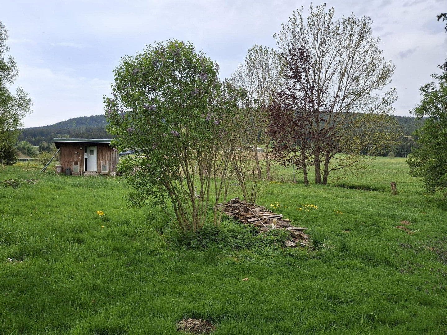 Predaj domu 144 m², pozemek 8.028 m², Regen, Bavorsko Predaj domu 144 m², pozemek 8.028 m², Regen, Bavorsko