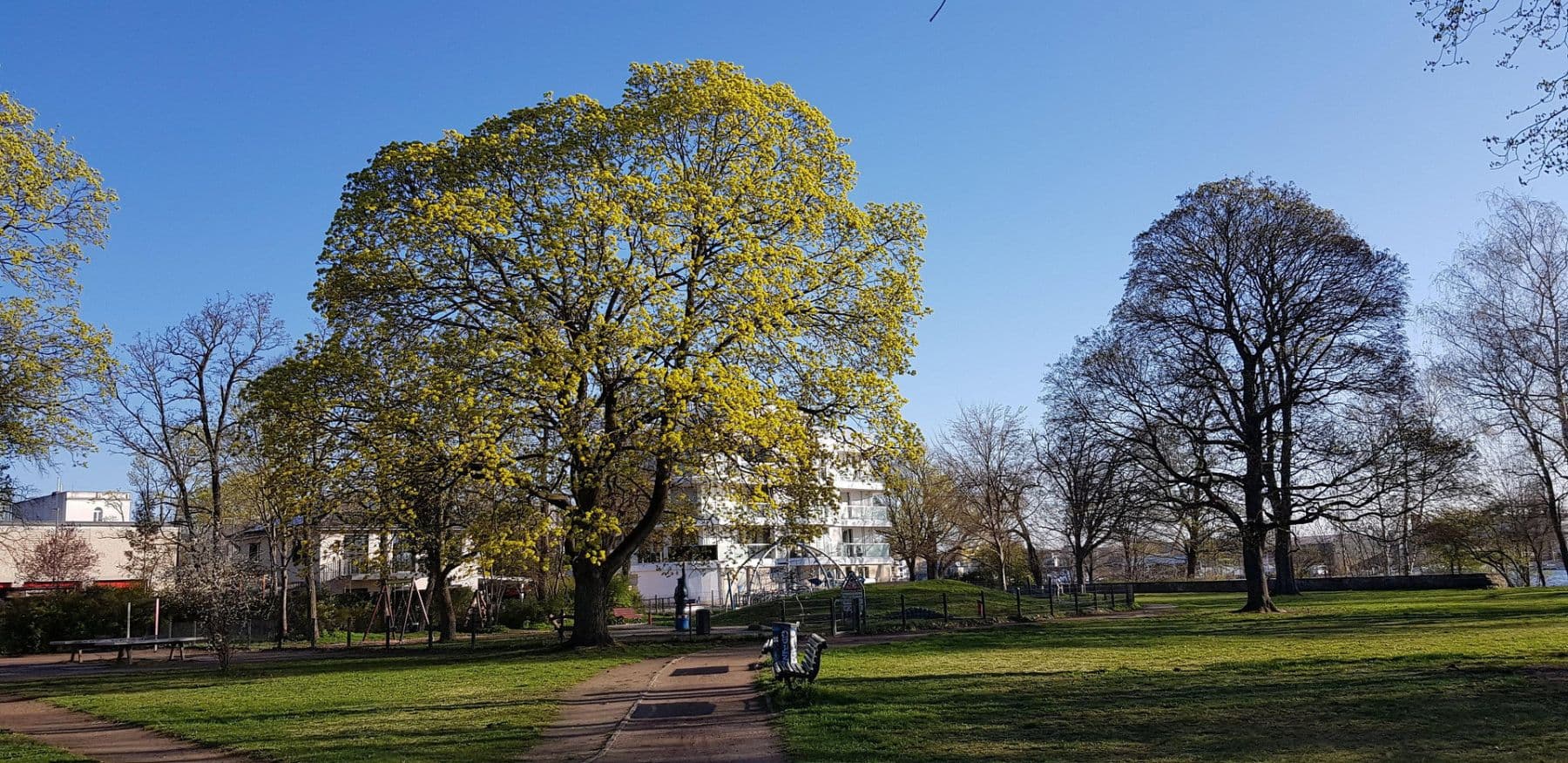 Predaj bytu 3-izbový 83 m², Regattastr. 35, Berlin, Berlín Predaj bytu 3-izbový 83 m², Regattastr. 35, Berlin, Berlín