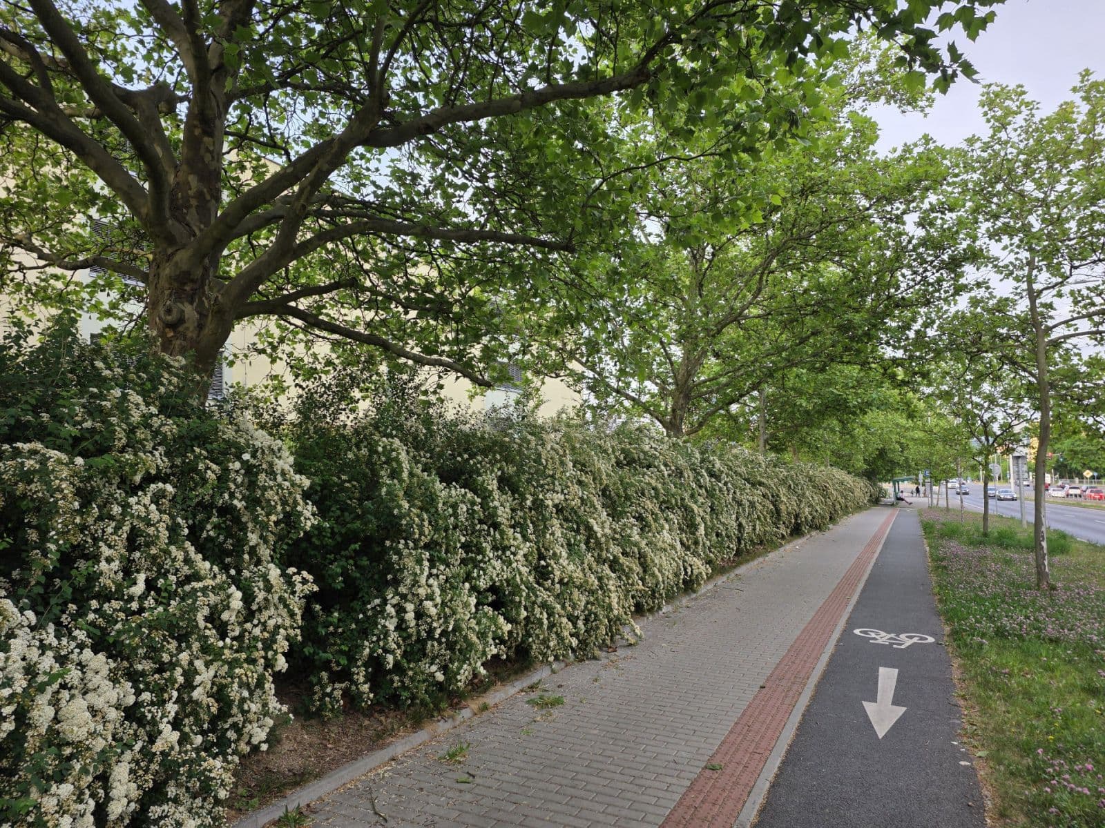 Prenájom garáže 16 m², Plzeň, Plzeňský kraj Prenájom garáže 16 m², Plzeň, Plzeňský kraj