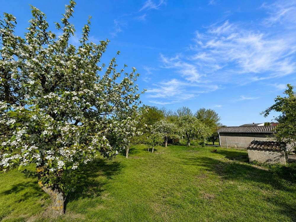 Predaj domu 123 m², pozemek 1.553 m², Lassan, Meklenbursko-Predpomoransko Predaj domu 123 m², pozemek 1.553 m², Lassan, Meklenbursko-Predpomoransko