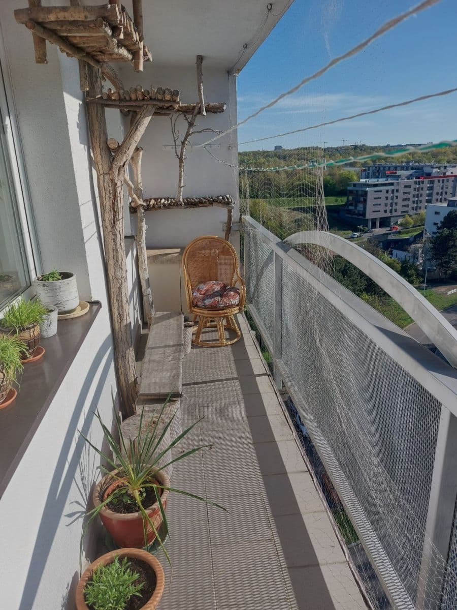 Predaj bytu 3-izbový 70 m², Jiránkova, Praha, Praha Predaj bytu 3-izbový 70 m², Jiránkova, Praha, Praha
