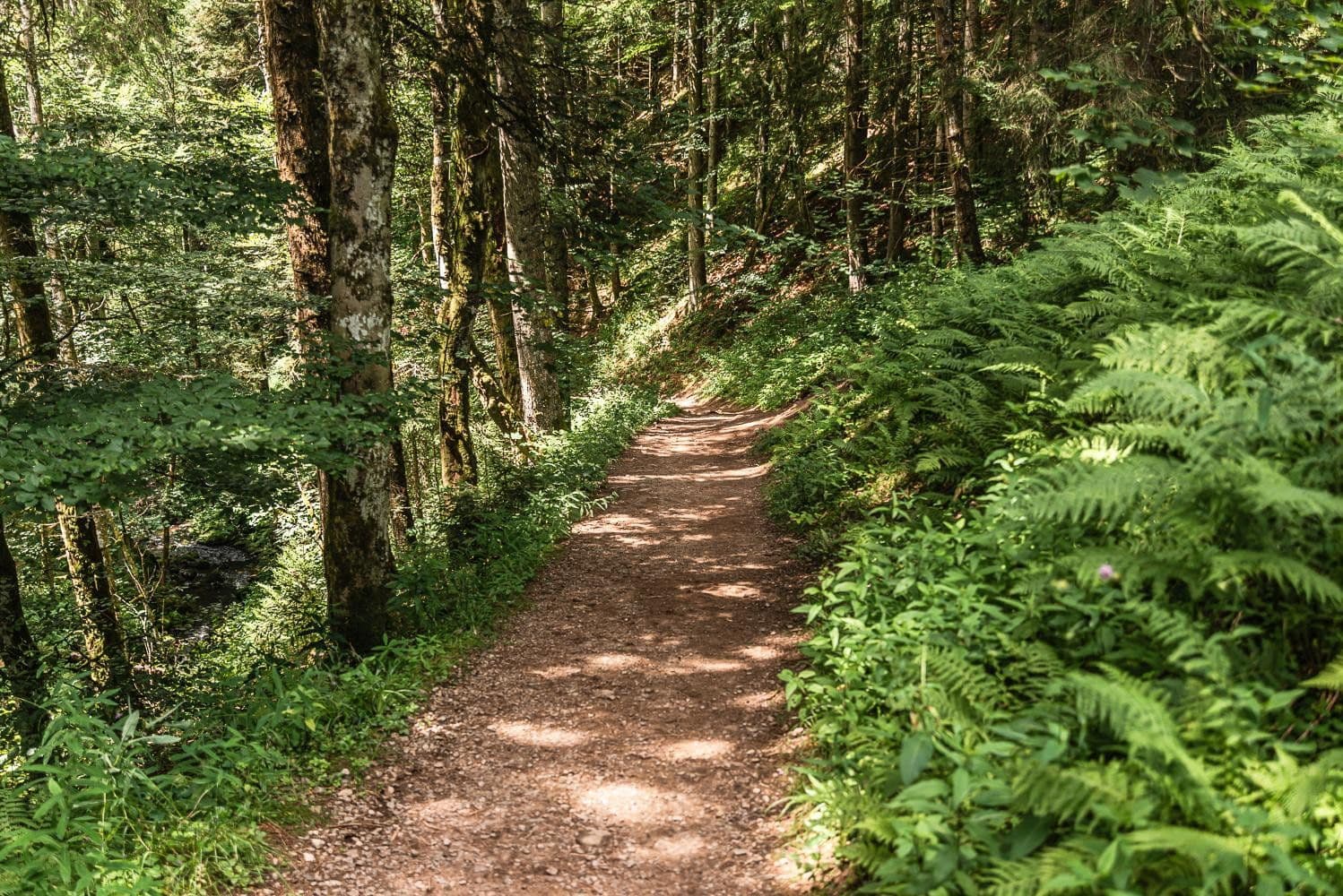 Predaj domu 311 m², pozemek 15.601 m², Breitnau, Bádensko-Wurttembersko Predaj domu 311 m², pozemek 15.601 m², Breitnau, Bádensko-Wurttembersko