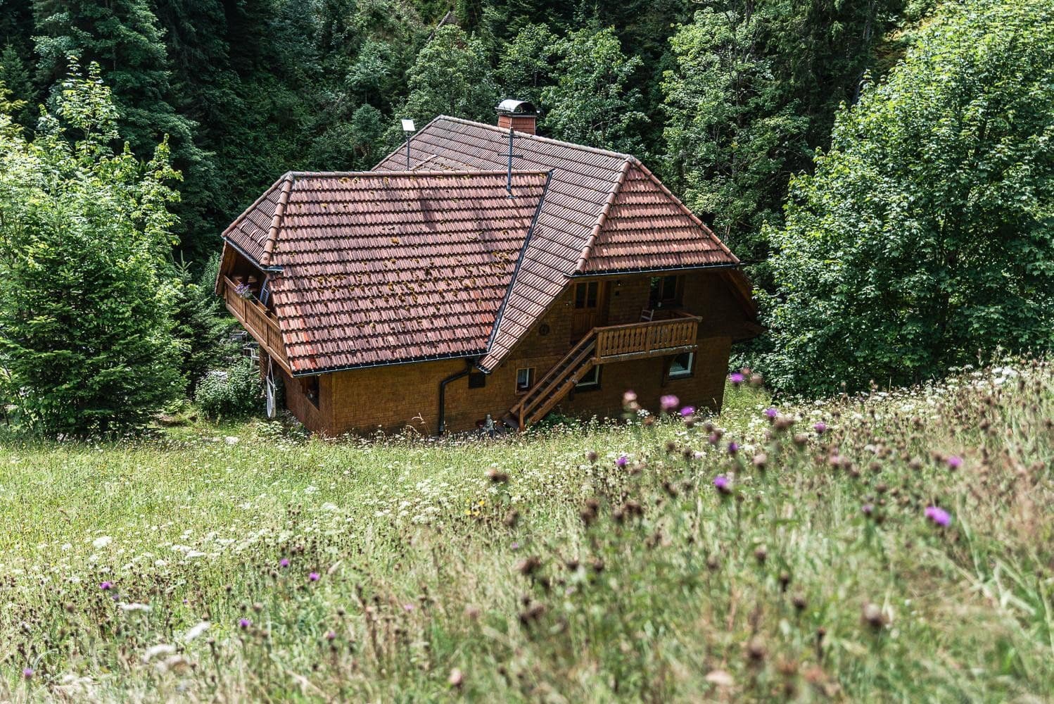 Predaj domu 311 m², pozemek 15.601 m², Breitnau, Bádensko-Wurttembersko Predaj domu 311 m², pozemek 15.601 m², Breitnau, Bádensko-Wurttembersko