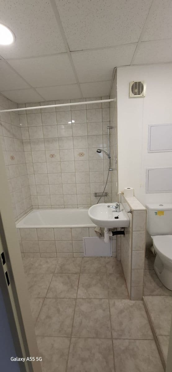 Prenájom bytu 1-izbový 32 m², Hanychovská, Liberec, Liberecký kraj Prenájom bytu 1-izbový 32 m², Hanychovská, Liberec, Liberecký kraj