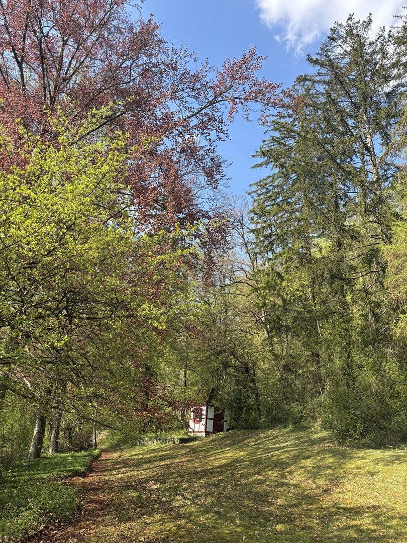 Predaj domu 312 m², pozemek 3.680 m², Westhausen, Bádensko-Wurttembersko Predaj domu 312 m², pozemek 3.680 m², Westhausen, Bádensko-Wurttembersko