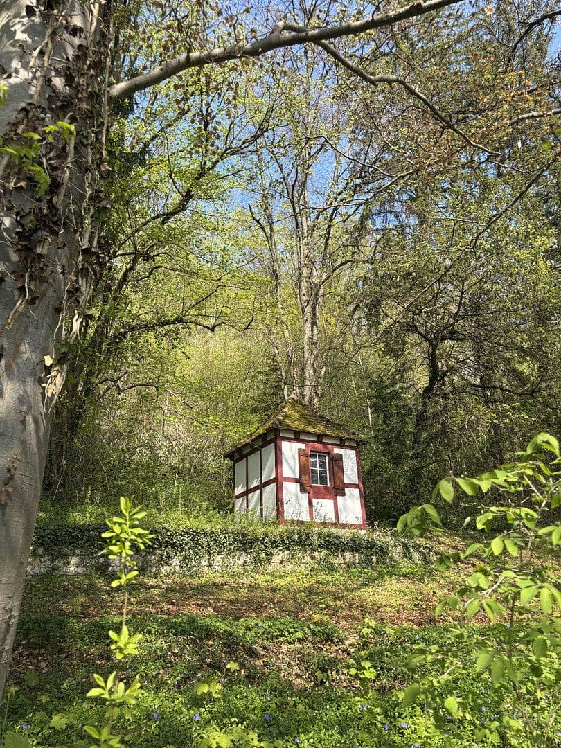 Predaj domu 312 m², pozemek 3.680 m², Westhausen, Bádensko-Wurttembersko Predaj domu 312 m², pozemek 3.680 m², Westhausen, Bádensko-Wurttembersko