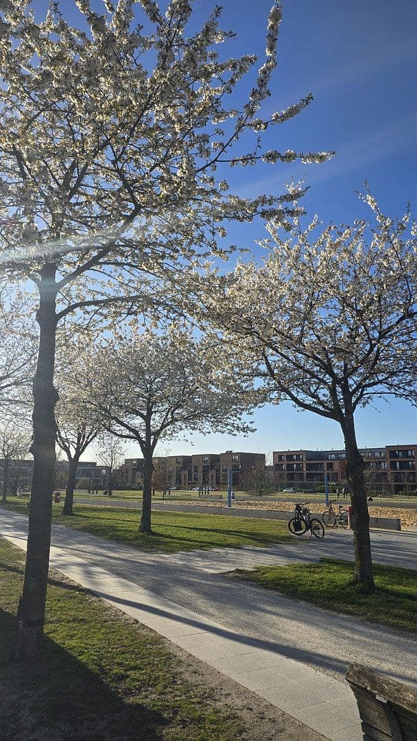 Prenájom bytu 3-izbový 116 m², Torfstecherweg 52, Hamburg, Hamburg Prenájom bytu 3-izbový 116 m², Torfstecherweg 52, Hamburg, Hamburg