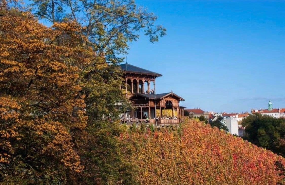 Prenájom bytu 4-izbový 20 m², Londýnská, Praha, Praha Prenájom bytu 4-izbový 20 m², Londýnská, Praha, Praha