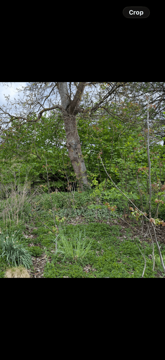 Predaj pozemku 354 m², Řevnice, Středočeský kraj Predaj pozemku 354 m², Řevnice, Středočeský kraj