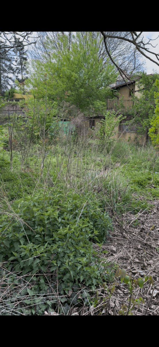 Predaj pozemku 354 m², Řevnice, Středočeský kraj Predaj pozemku 354 m², Řevnice, Středočeský kraj