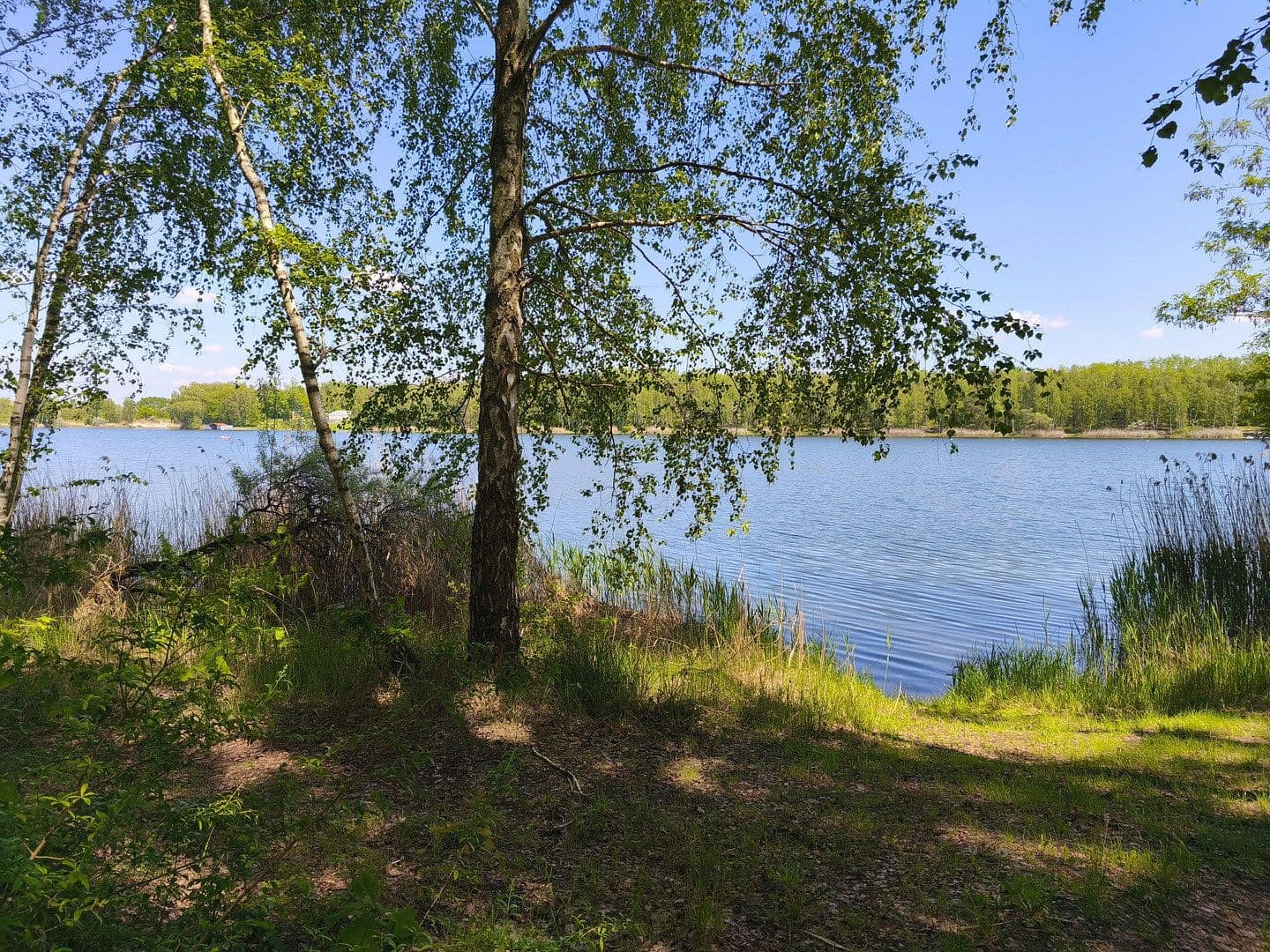 Predaj domu 88 m², pozemek 250 m², Ringweg 26, Gräfenhainichen, Sasko-Anhaltsko Predaj domu 88 m², pozemek 250 m², Ringweg 26, Gräfenhainichen, Sasko-Anhaltsko