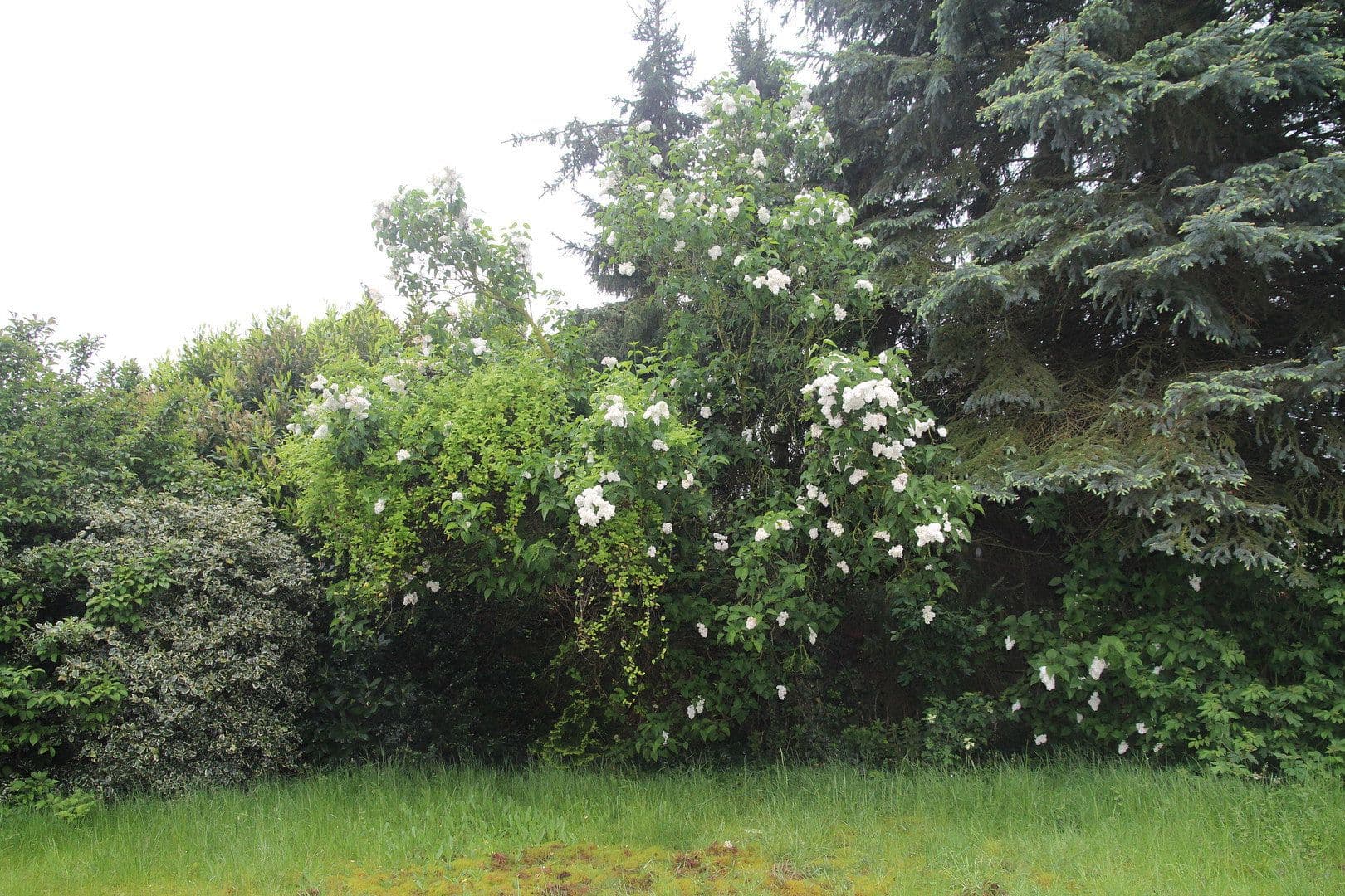 Predaj domu 145 m², pozemek 1.020 m², Erkelenz, Severné Porýnie - Westfálsko Predaj domu 145 m², pozemek 1.020 m², Erkelenz, Severné Porýnie - Westfálsko