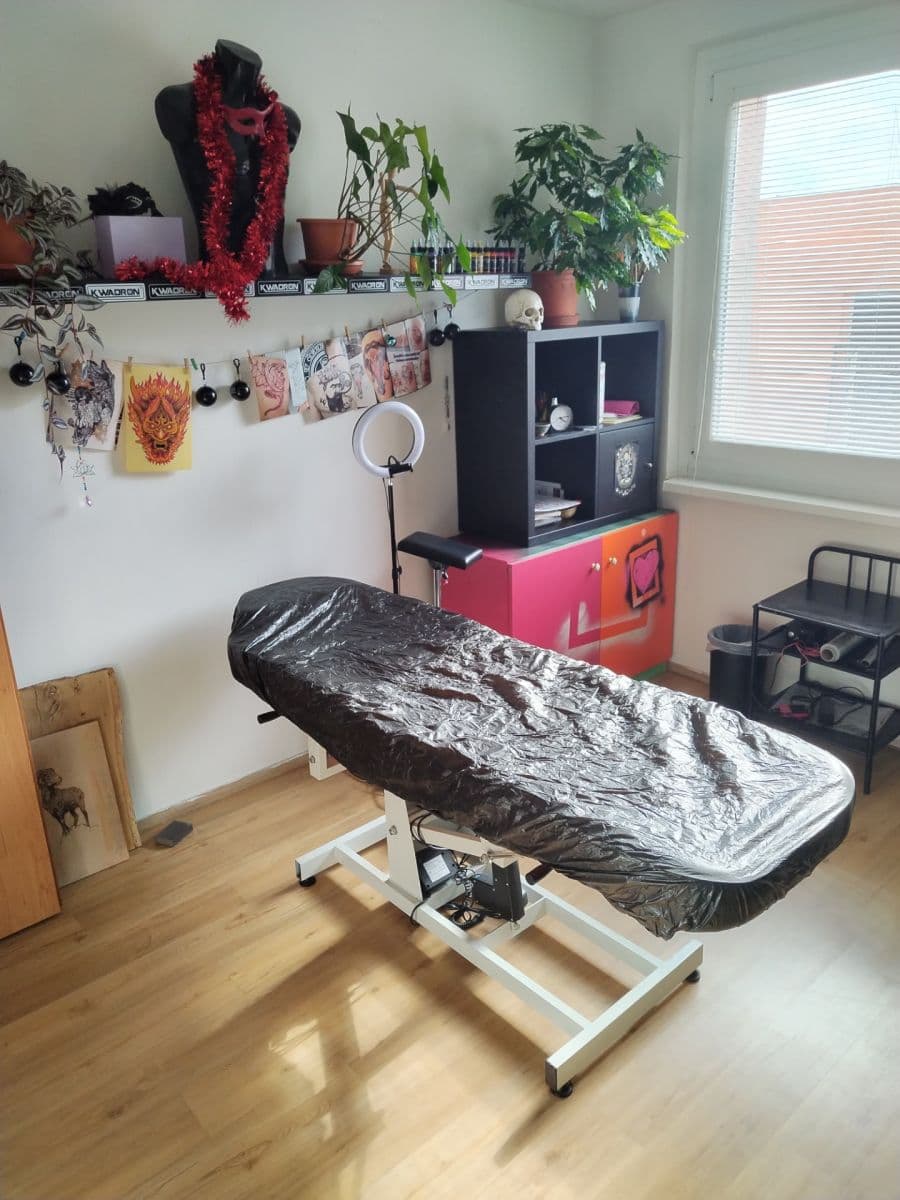 Prenájom bytu 3-izbový 13 m², Peškova, Ústí nad Labem, Ústecký kraj Prenájom bytu 3-izbový 13 m², Peškova, Ústí nad Labem, Ústecký kraj