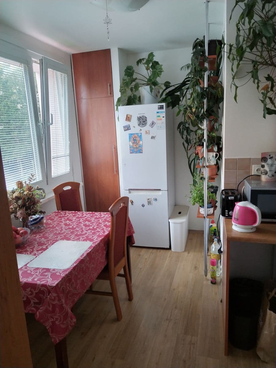 Prenájom bytu 3-izbový 13 m², Peškova, Ústí nad Labem, Ústecký kraj Prenájom bytu 3-izbový 13 m², Peškova, Ústí nad Labem, Ústecký kraj