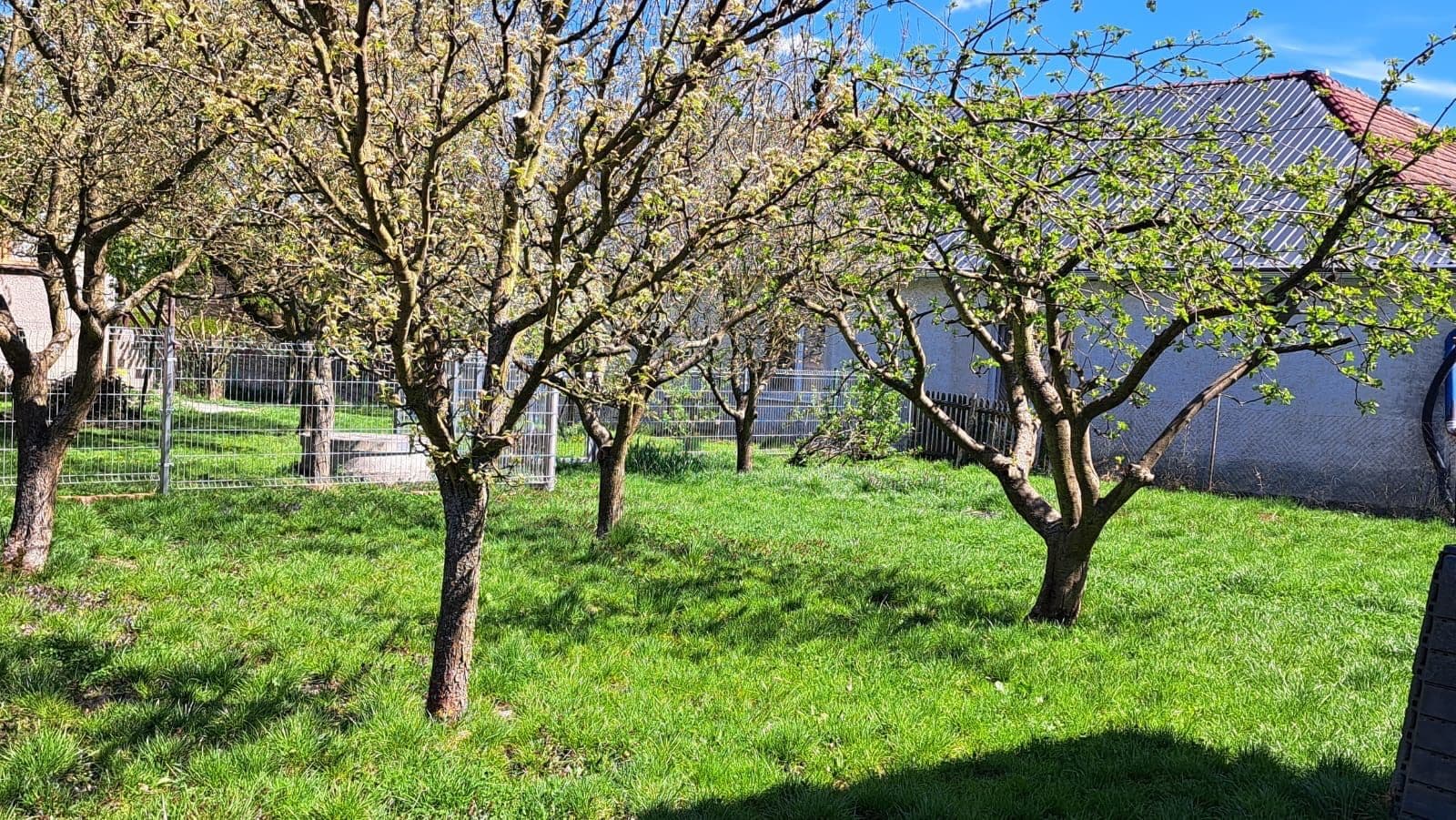 Predaj domu 156 m², pozemek 665 m², Staré Město, Pardubický kraj Predaj domu 156 m², pozemek 665 m², Staré Město, Pardubický kraj