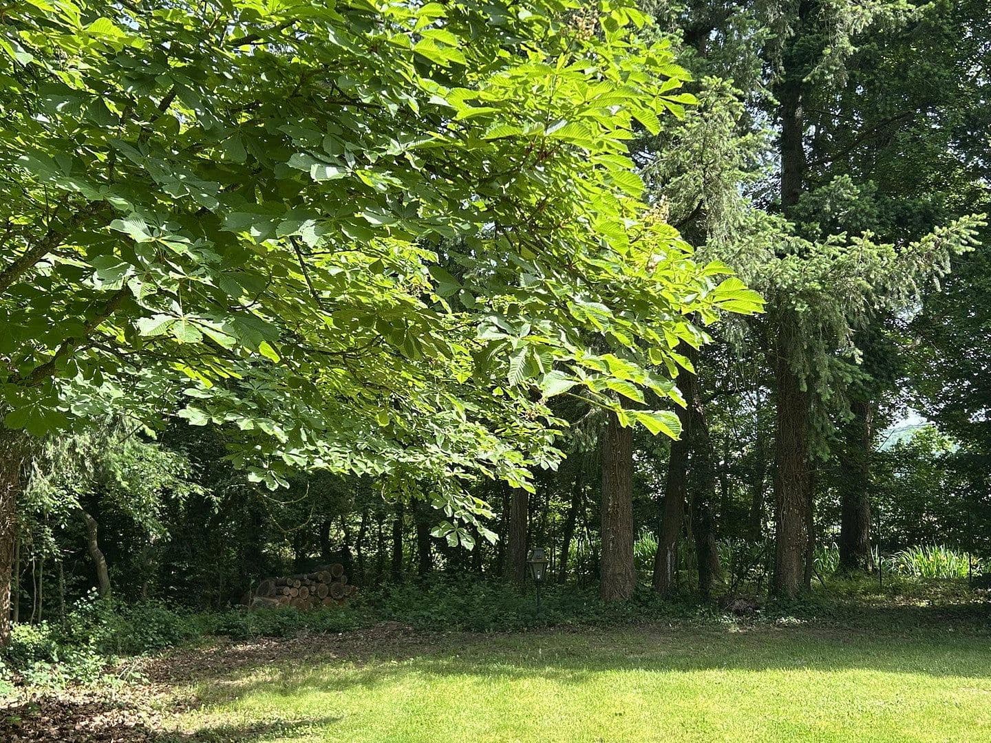 Predaj domu 320 m², pozemek 11.000 m², Kanzem, Porýnie-Falcko Predaj domu 320 m², pozemek 11.000 m², Kanzem, Porýnie-Falcko