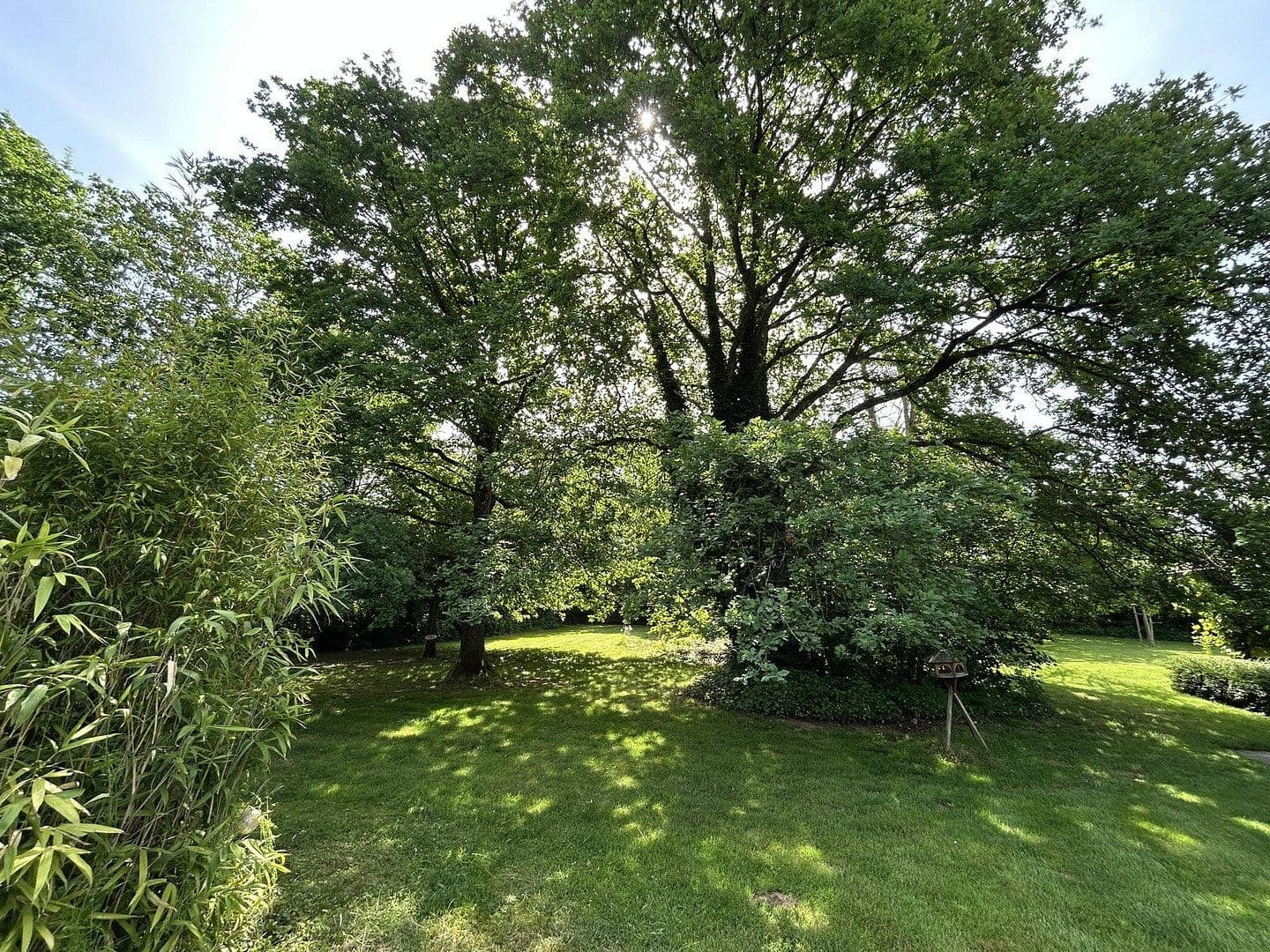 Predaj domu 320 m², pozemek 11.000 m², Kanzem, Porýnie-Falcko Predaj domu 320 m², pozemek 11.000 m², Kanzem, Porýnie-Falcko