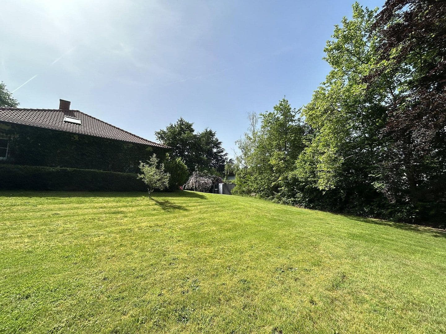 Predaj domu 320 m², pozemek 11.000 m², Kanzem, Porýnie-Falcko Predaj domu 320 m², pozemek 11.000 m², Kanzem, Porýnie-Falcko