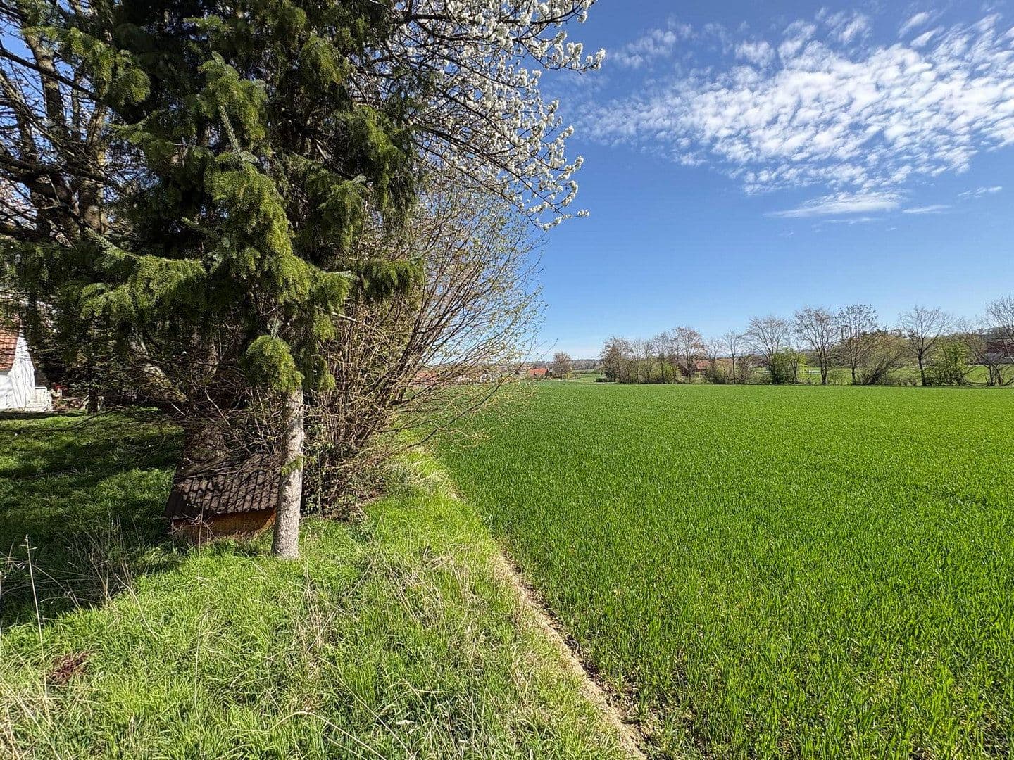 Predaj domu 300 m², pozemek 2.432 m², Möllberger Heide 105, Porta Westfalica, Severné Porýnie - Westfálsko Predaj domu 300 m², pozemek 2.432 m², Möllberger Heide 105, Porta Westfalica, Severné Porýnie - Westfálsko