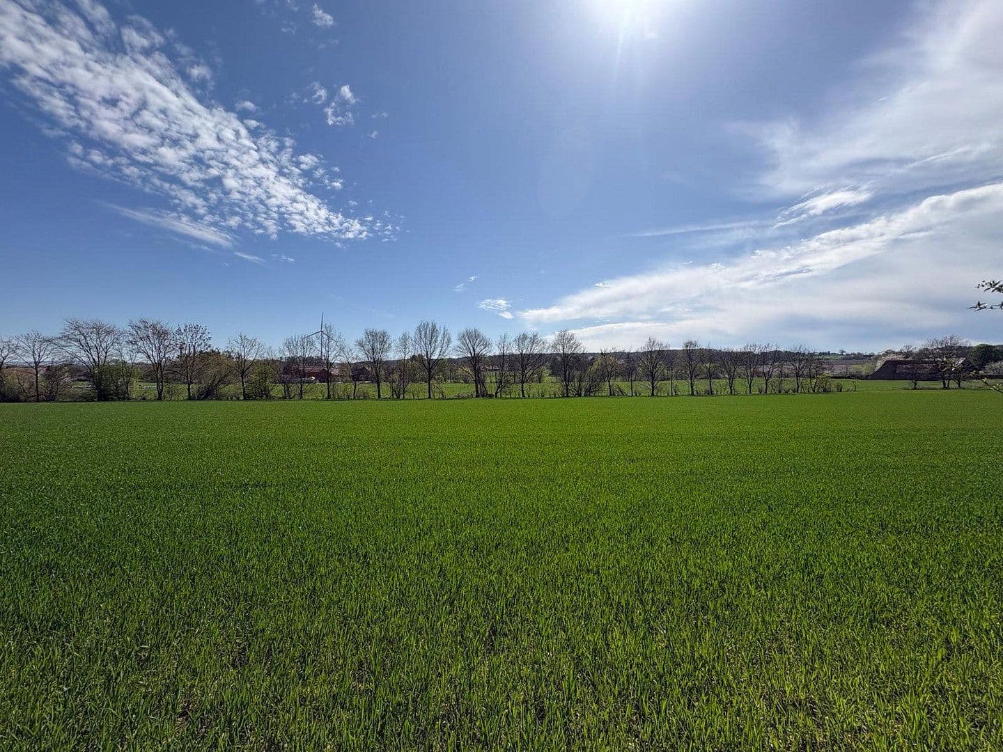 Predaj domu 300 m², pozemek 2.432 m², Möllberger Heide 105, Porta Westfalica, Severné Porýnie - Westfálsko Predaj domu 300 m², pozemek 2.432 m², Möllberger Heide 105, Porta Westfalica, Severné Porýnie - Westfálsko