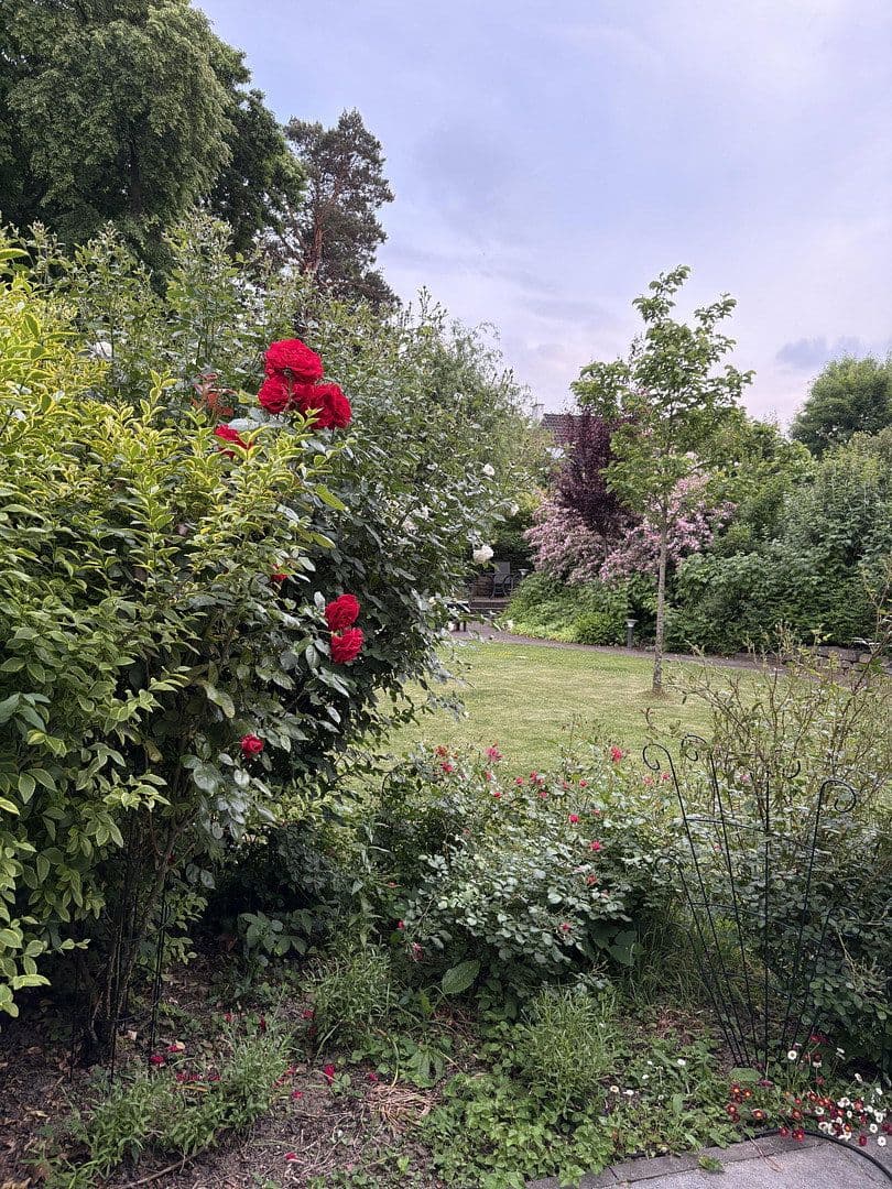 Predaj domu 195 m², pozemek 614 m², Mönchengladbach, Severné Porýnie - Westfálsko Predaj domu 195 m², pozemek 614 m², Mönchengladbach, Severné Porýnie - Westfálsko