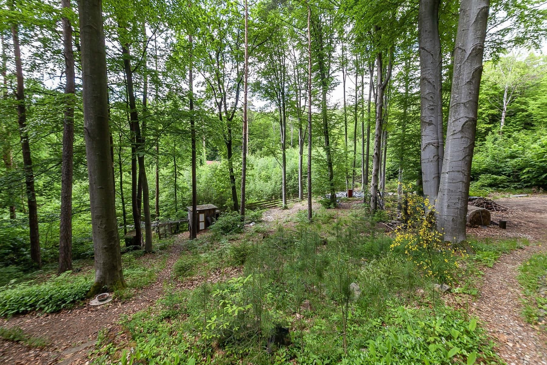 Predaj rekreačného objektu 50 m², pozemek 2.736 m², Slapy, Jihočeský kraj Predaj rekreačného objektu 50 m², pozemek 2.736 m², Slapy, Jihočeský kraj