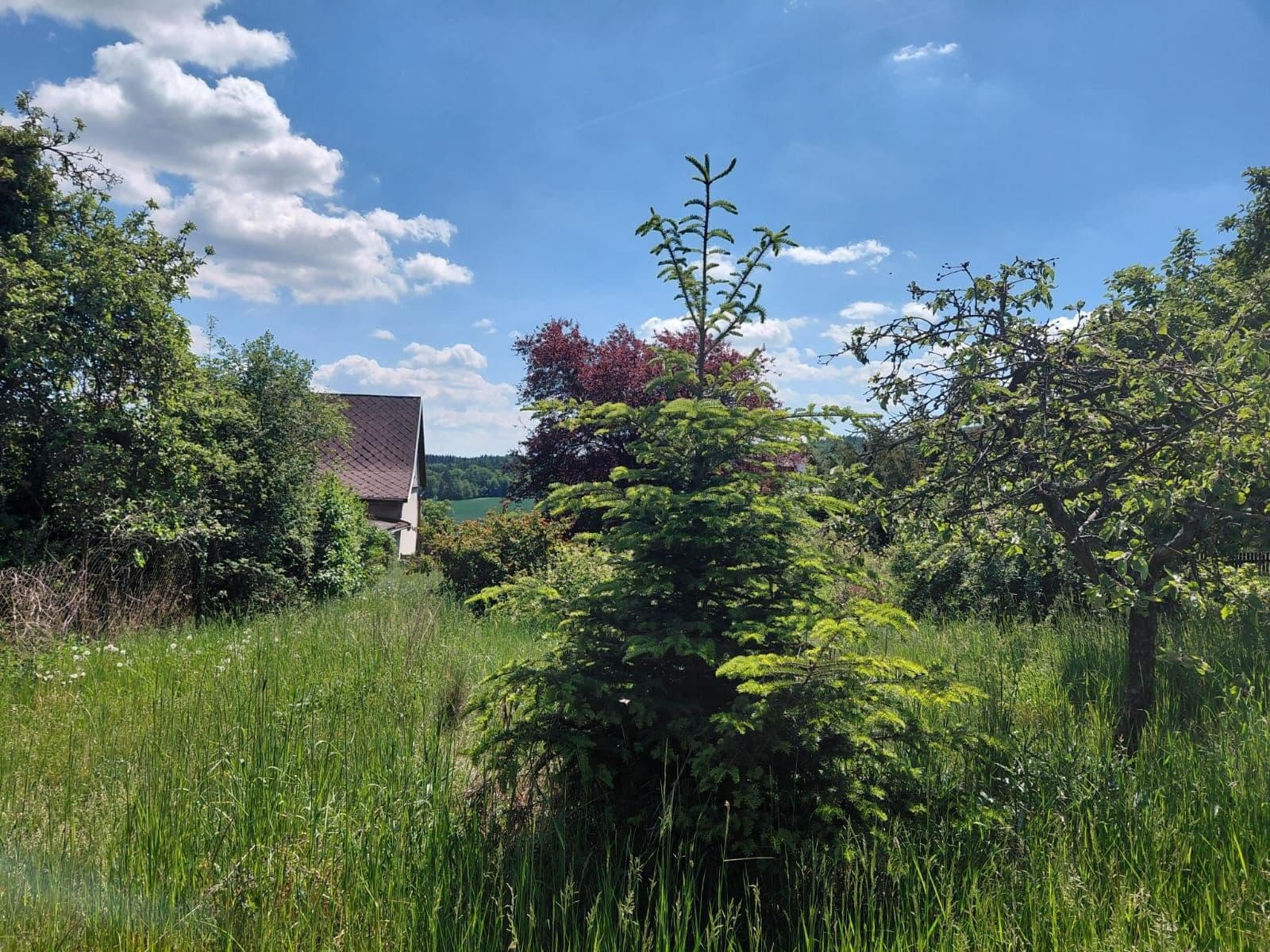 Prenájom pozemku 477 m², Zbiroh, Plzeňský kraj Prenájom pozemku 477 m², Zbiroh, Plzeňský kraj