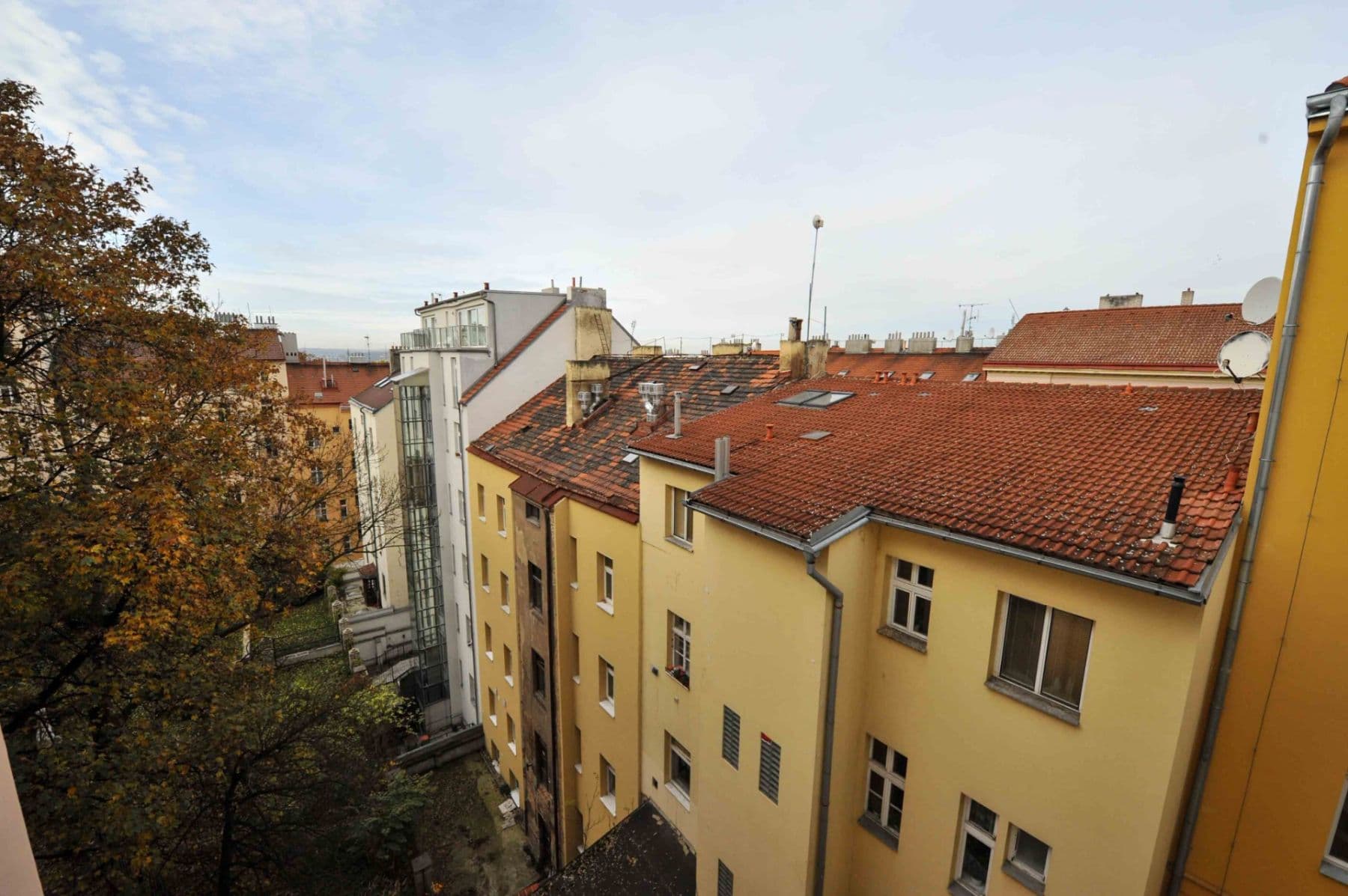 Prenájom bytu 1-izbový 33 m², Ježkova, Praha, Praha Prenájom bytu 1-izbový 33 m², Ježkova, Praha, Praha