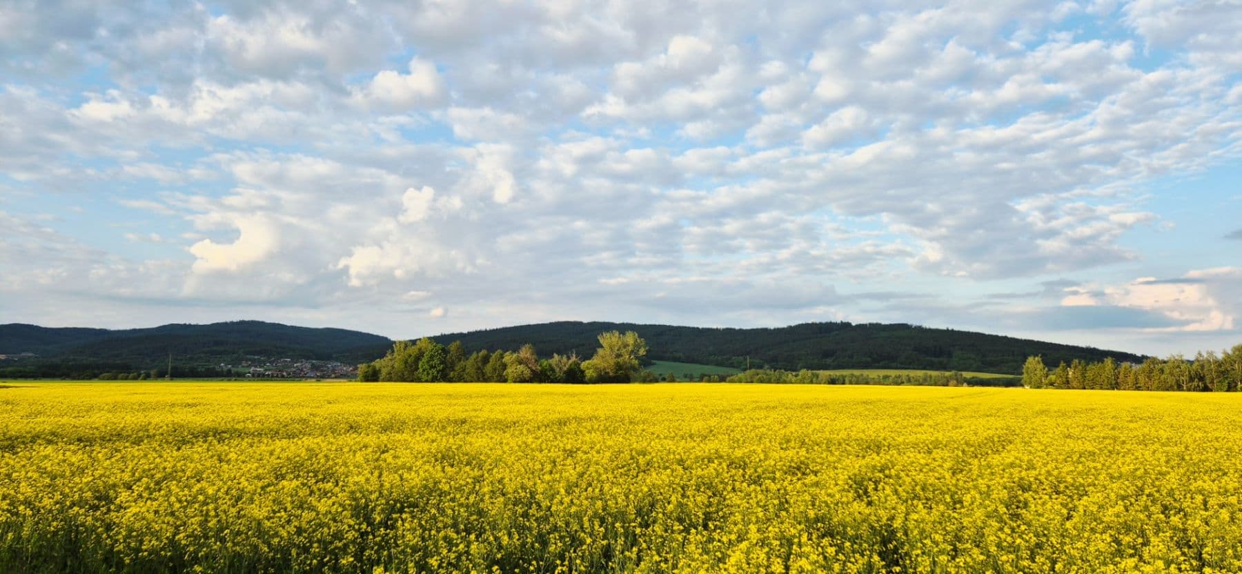 Predaj domu 201 m², pozemek 1.100 m², Hrabová, Olomoucký kraj Predaj domu 201 m², pozemek 1.100 m², Hrabová, Olomoucký kraj