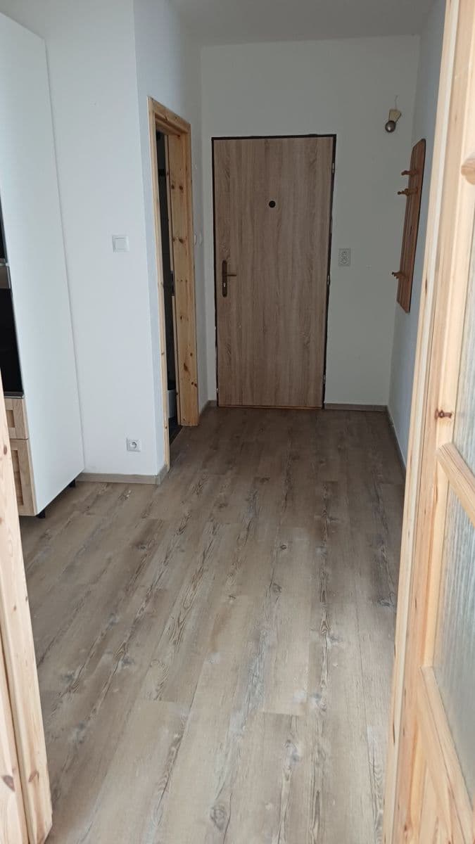 Prenájom bytu 2-izbový 51 m², Londýnská, Liberec, Liberecký kraj Prenájom bytu 2-izbový 51 m², Londýnská, Liberec, Liberecký kraj
