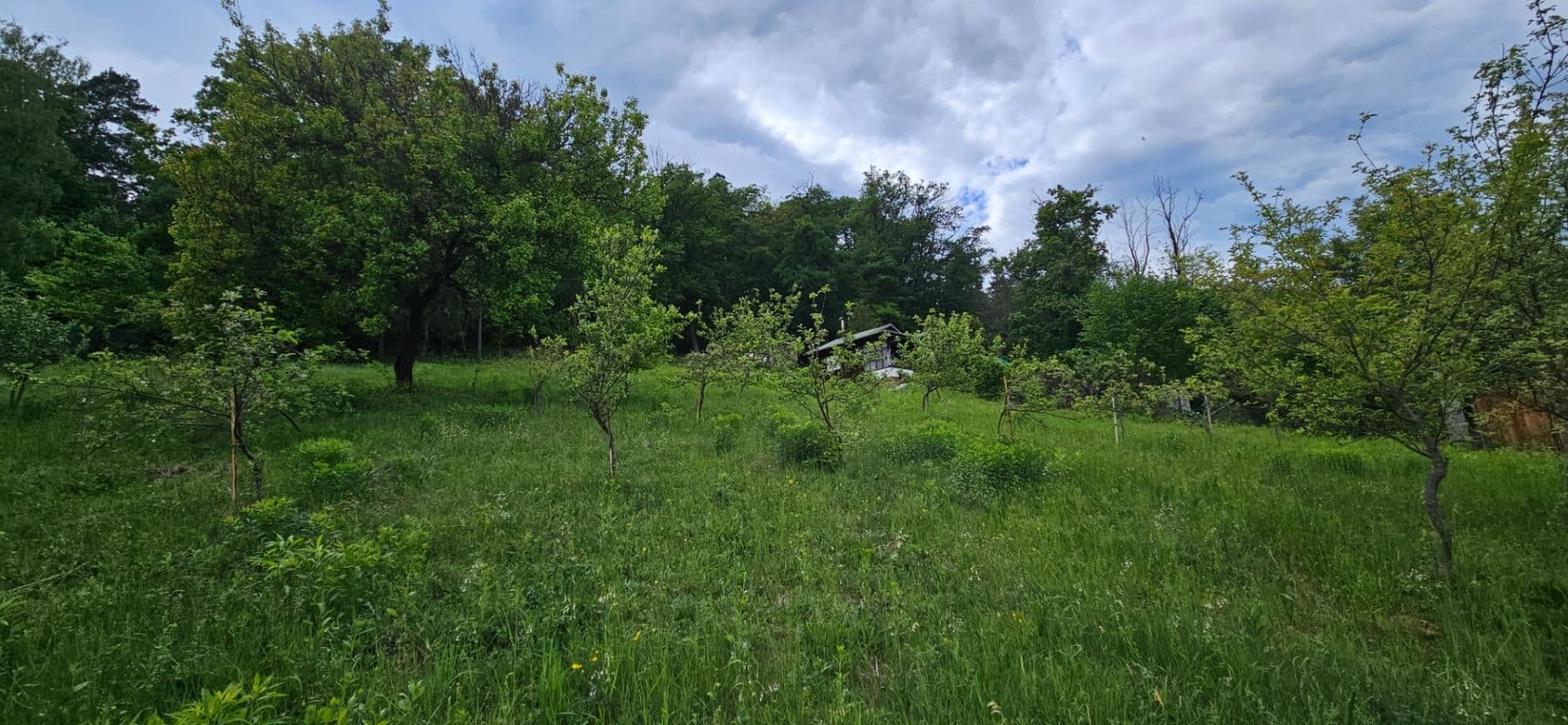 Prenájom pozemku 5.966 m², Muškátová, Brno, Jihomoravský kraj Prenájom pozemku 5.966 m², Muškátová, Brno, Jihomoravský kraj