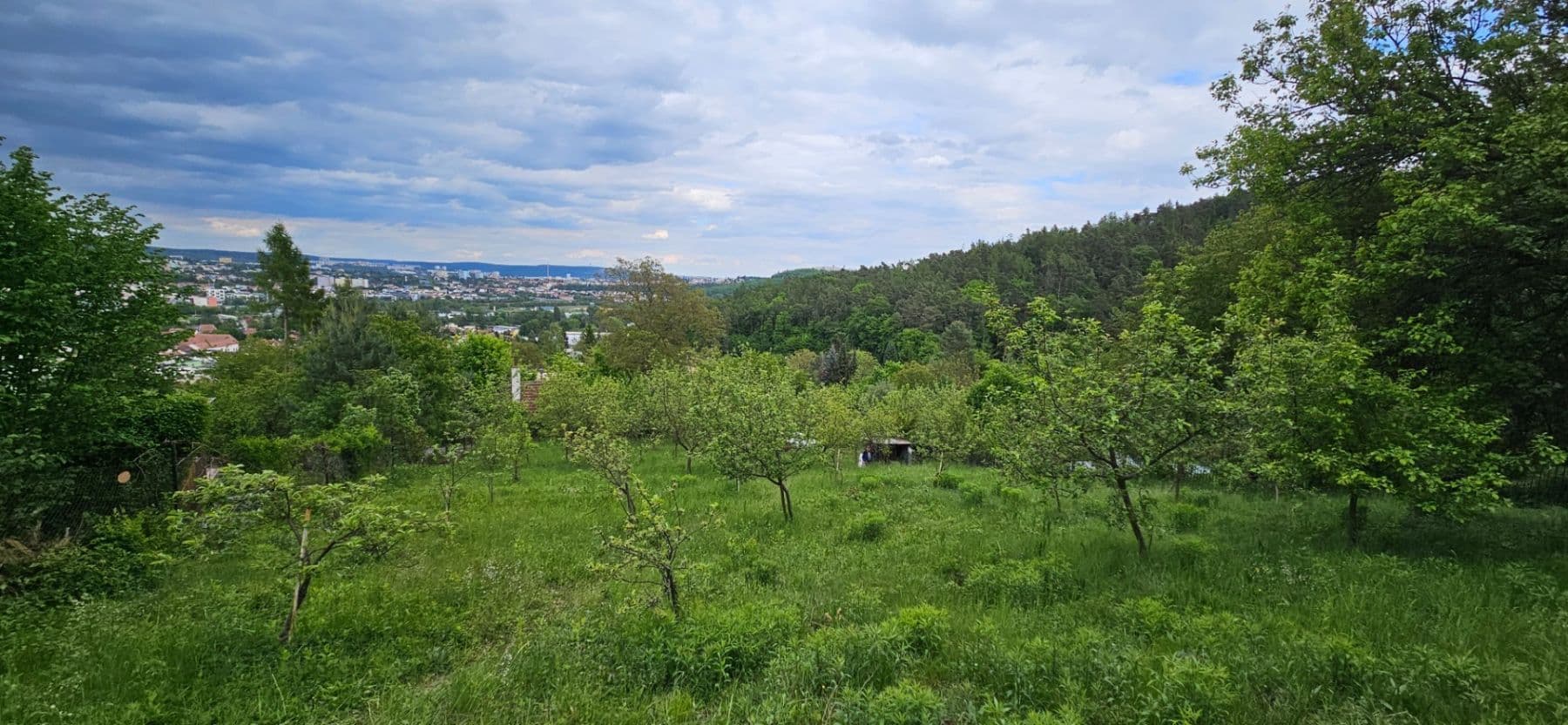 Prenájom pozemku 5.966 m², Muškátová, Brno, Jihomoravský kraj Prenájom pozemku 5.966 m², Muškátová, Brno, Jihomoravský kraj