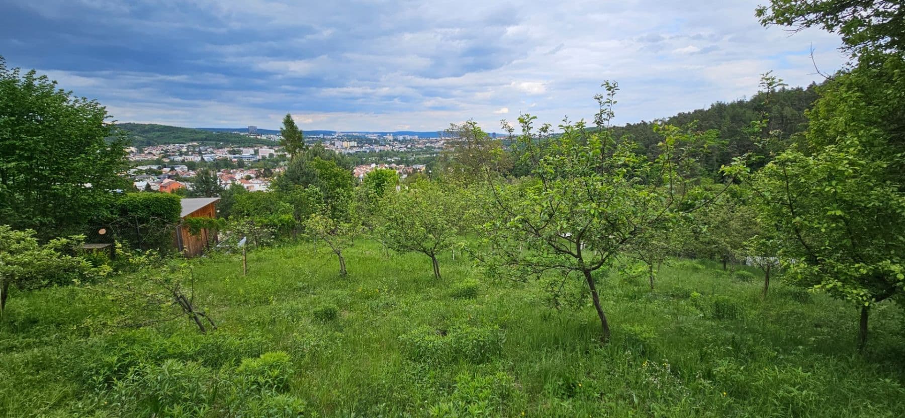 Prenájom pozemku 5.966 m², Muškátová, Brno, Jihomoravský kraj Prenájom pozemku 5.966 m², Muškátová, Brno, Jihomoravský kraj
